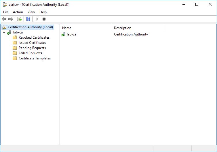 Access the current CA Server - img